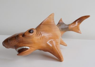 HammerHead Shark-Front-offset2