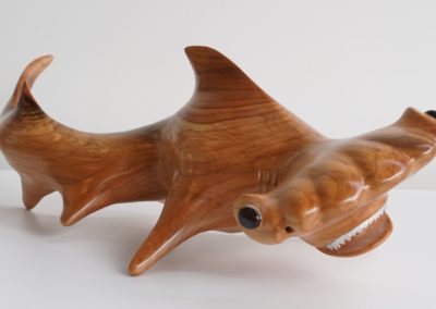 HammerHead Shark-Front-offset