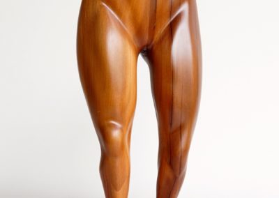 Female Torso -Full Front view
