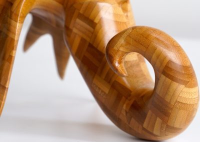 Tail vew Close-up