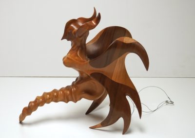 Left Side View