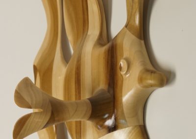 Angel-Fish, Large, Detail