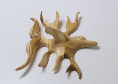 Angel-Fish, Small, Side View